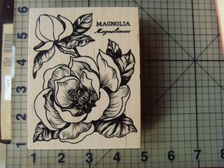 Rare Collectors Item Psx Wood Mounted Rubber Stamp " Magnolia Botanical " K - 1556