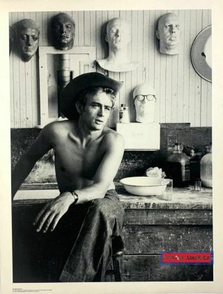 James Dean Photography By Sanford Roth Rare Poster 19 X 25