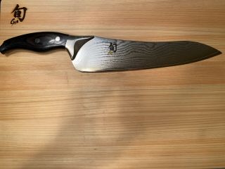 Shun Ken Onion 10” Chef’s Knife - Dm0507 Rare