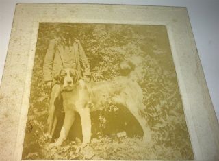 Rare Antique Victorian American Occupational Gent,  Big Pet Dog Cabinet Photo Us