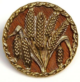 Antique Vtg Button Large Victorian Brass Wheat W/a Wood Back Eingetragen G5
