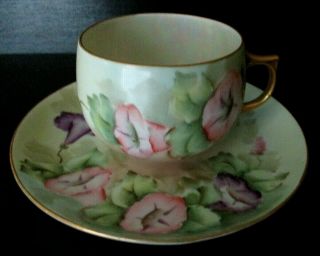 Pmr Bavaria Hand Painted Morning Glory Porcelain Tea Cup & Saucer,  Signed