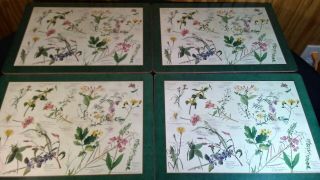 Rare Vintage Pimpernel Horticultural Wild Flowers Cork Placemats