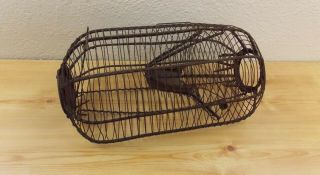 Antique Vintage Large Metal Wire Mouse Rat Rodent Trap Cage Primitive Rustic