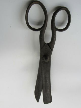 Antique 10 " Blacksmith Hand Forged Metal Asparagus Scissors Shears Cutters