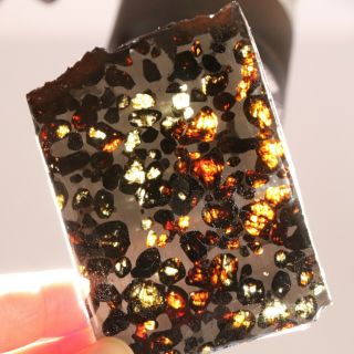 50g Meteorites slice，Rare slices of Kenyan Pallasite olive meteorite F2763 2