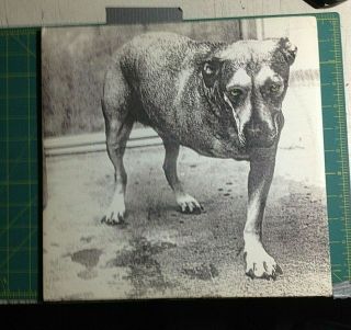 Orig 1995 Alice In Chains St Tripod Dog Lp Vinyl 2 Record Set Rare