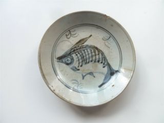 Chinese Ming Dynasty Dish With Unusual Swimming Fish Design