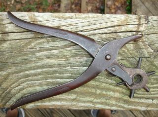 Old Antique Schollhorn Bernard Leather 6 Sz Hole Hollow Punch Tool Haven Ct