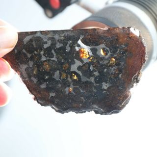 50g Rare slices of Kenyan Pallasite olive meteorite Q56 2