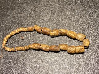 Rare Marine Conch Shell Beads Indian Necklace Artifact Dickey 3