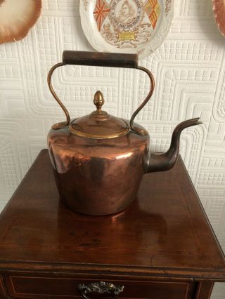 Lovely Antique Copper Tea Kettle With Acorn Finial