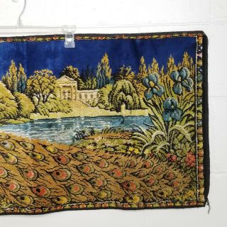 Vintage 70s Peacock Wall Art Tapestry Low Pile 19.  25 