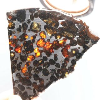 50g Rare Slices Of Kenyan Pallasite Meteorite Olive R3834
