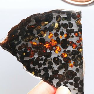 50g RARE slices of Kenyan Pallasite Meteorite Olive R3834 3