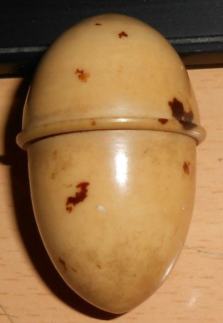 Antique Vegetable Ivory Tagua Nut Sewing Thimble And Cotton Reel Holder