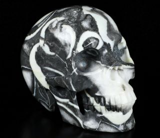 Huge 5.  0 " Rare Fossil Carved Crystal Skull,  Realistic,  Crystal Healing