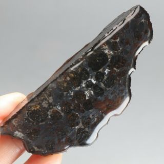 50g Rare Slices Of Kenyan Pallasite Olive Meteorite A2661