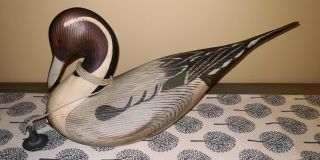 Vintage Big Sky Carvers Northern Pintail Duck Decoy By Ken W White Rare