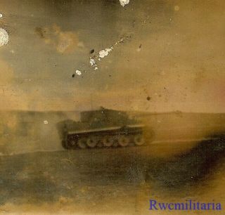 Rare German Elite Waffen Pzkw.  Vi Tiger Panzer Tank Crossing Field (1)