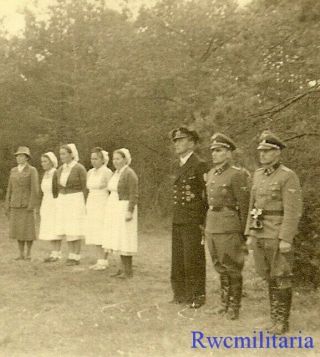 Rare German Elite Waffen Officers W/ Drk Nurses At Ceremony In Field