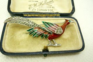 Vintage Jewellery Enamel Marcasite Pheasant Bird Brooch Pin Lovely