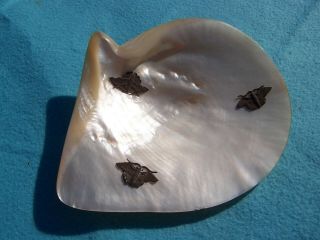 Antique Victorian / Edwardian Mother Of Pearl Shell With 3 X Metal Moths & Feet