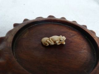 Top Quality Antique 19thc Japanese Meiji Period Carved Netsuke Of A Frog.  Signed