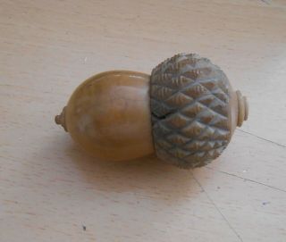 Antique Carved Vegetable Ivory Acorn Sewing Thimble Case