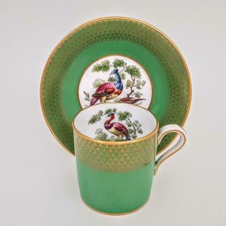 Antique Spode Copelands China Exotic Bird Hand Painted Coffee Cup & Saucer C1900