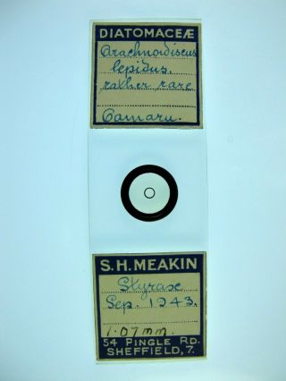 Vintage Microscope Slide By Samuel Meakin.  Diatom.  Arachnoidiscus Lepidus.  Rare.