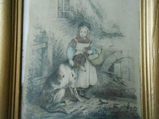 Charming Antique Watercolour Watercolor Painting Of Lady & Dog In Gilt Frame