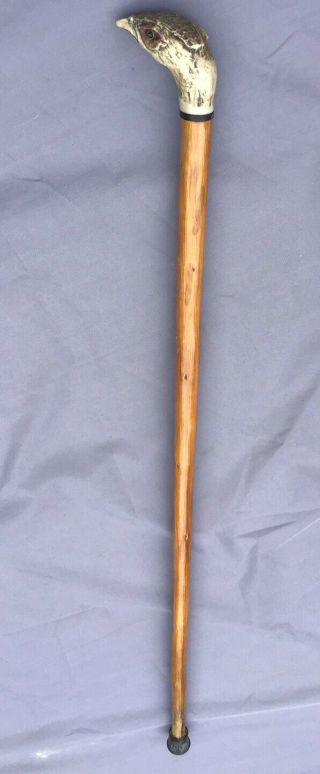 Antique Carved Pheasant Head Possibly Horn / Antler Handle & Wood Walking Stick