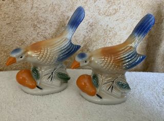 Set Of 2 Ceramic Blue Bird Eating Pear Made In Brazil.  7”