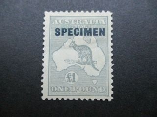Kangaroo Stamps: 1 Pound Grey C Of A Watermark Specimen - Rare - (k190)