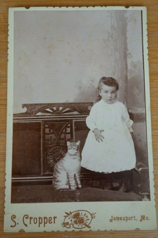 Antique Vintage Cabinet Card Child Little Girl With Cat Photo Unique Rare Cute