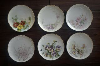 Rare Antique Limoges (france) Set Of 6 Luncheon Plates Floral - Scalloped Edges