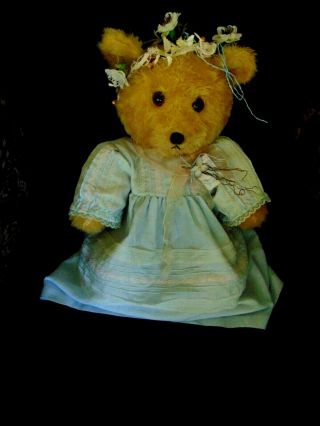 Vintage Loved Bluebelle Jointed Bear She Is Just Gorgeous In Her Vintage Dress