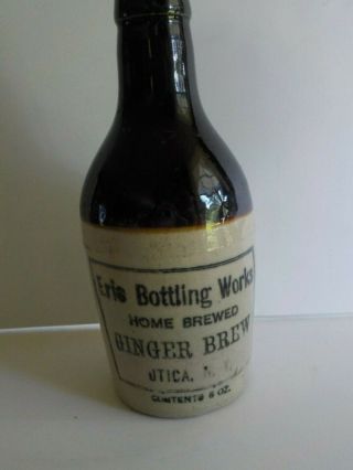 Antique Stoneware Pottery Eris Bottling Home Brewed Ginger Beer Utica Ny