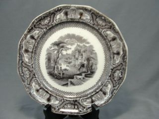 Rare Flow Black Mulberry Ironstone Tavoy Pattern Plate By T Walker 8 3/4 " W 1850