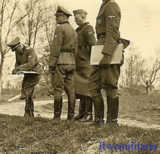 Rare German Elite Waffen Ranking Officers Gathered On Road W/ Maps