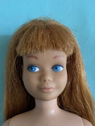 Vintage Skipper Barbie 1960’s Gorgeous