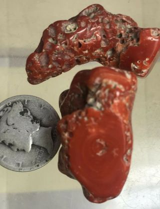 2 Large Chunks Antique Red Mediterranean Coral 73 Carats 128