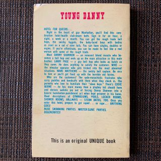 YOUNG DANNY 1966 RARE FULLY ILLUSTRATED GAY PB UNIQUE BOOKS ERIC STANTON SINNOT 2
