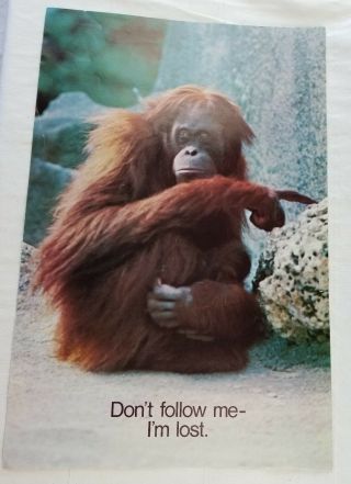 Vintage Argus Poster 21x14 " 2333 Monkey Don 