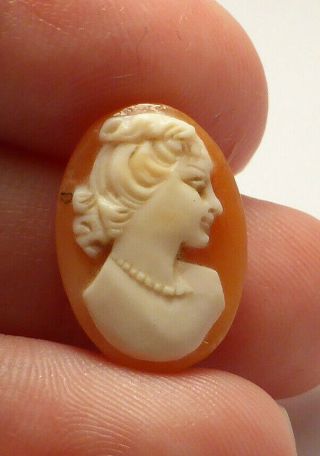 Fine Antique Finely Carved Unmounted Loose Cameo Shell Brooch