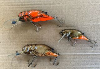 3 Vintage Rebel?/bagley? Wee Crawfish/crayfish/crawdad 2 X 4” 1 X 3 "