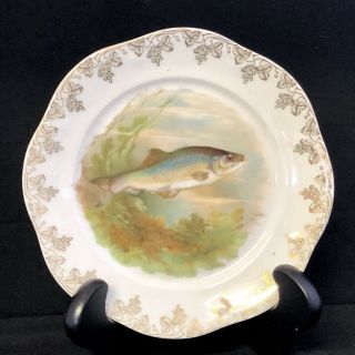 Antique Z S & Co Bavaria Zeh Scherzer Fish Porcelain 8 " Plate Gold Gilt Rim Rare