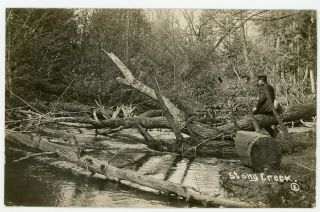 Antique C.  1909 Rppc Stony Creek (near St Lake) Shelby Michigan Mi Oceana County