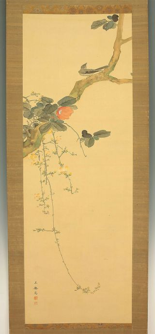 掛軸1967 Japanese Hanging Scroll : Oda Tansai " Flower And Bird " @zy997